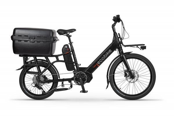 Ecobike Cargo long tail
