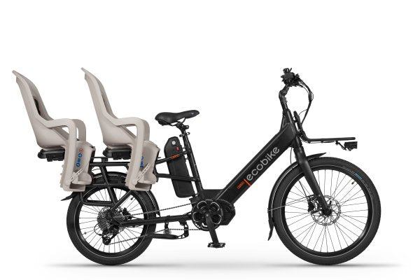 Ecobike Cargo long tail