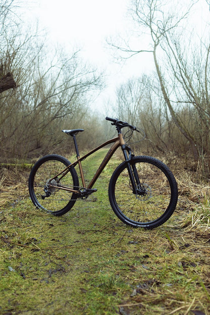 Principia Evoke A5.9 10vxl