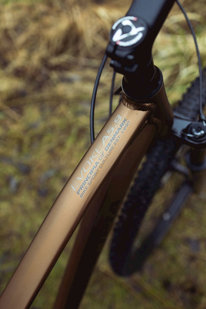 Principia Evoke A5.9 10vxl