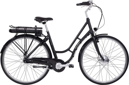 Raleigh Darlington E Dam 7vxl 50cm